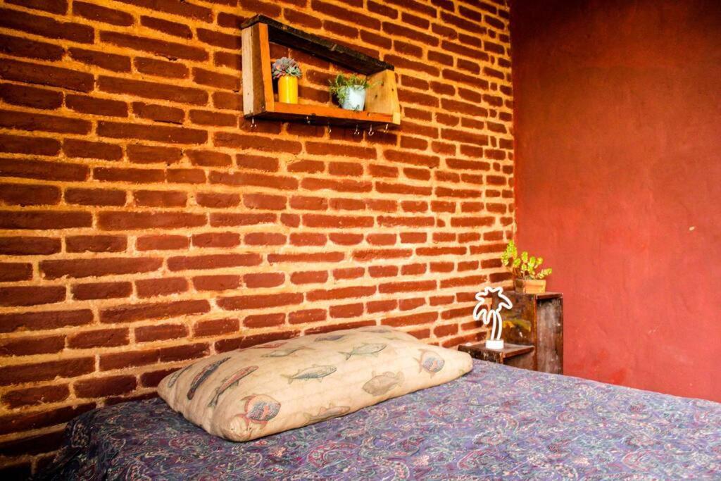 Departamento Apiesdelcerro *